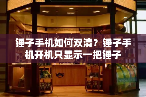 锤子手机如何双清？锤子手机开机只显示一把锤子-第1张图片-星选测评