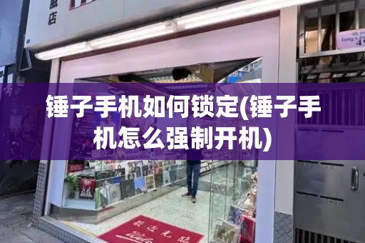 锤子手机如何锁定(锤子手机怎么强制开机)-第1张图片-星选测评