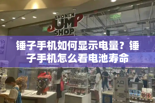 锤子手机如何显示电量？锤子手机怎么看电池寿命