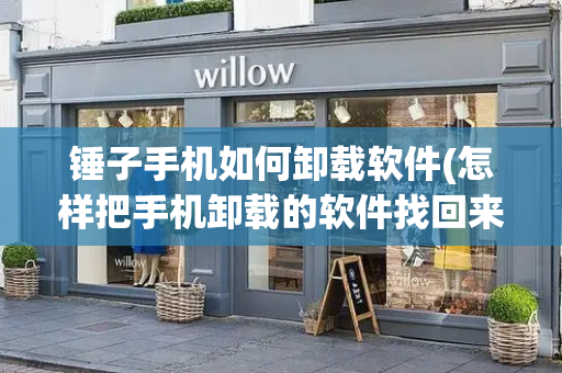 锤子手机如何卸载软件(怎样把手机卸载的软件找回来)