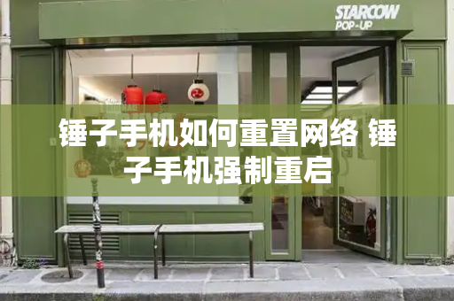 锤子手机如何重置网络 锤子手机强制重启