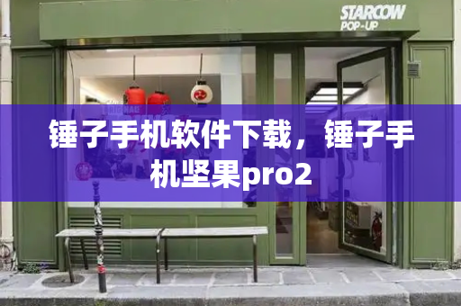 锤子手机软件下载，锤子手机坚果pro2-第1张图片-星选测评