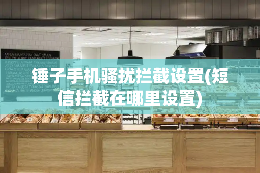 锤子手机骚扰拦截设置(短信拦截在哪里设置)-第1张图片-星选测评