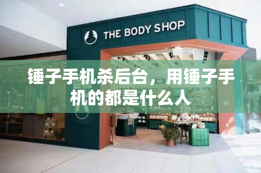 锤子手机杀后台，用锤子手机的都是什么人