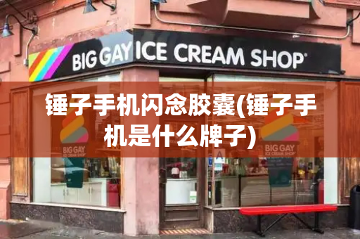 锤子手机闪念胶囊(锤子手机是什么牌子)-第1张图片-星选测评