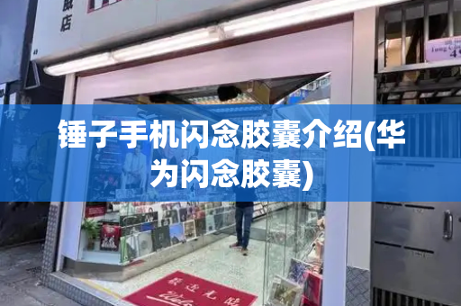 锤子手机闪念胶囊介绍(华为闪念胶囊)-第1张图片-星选测评
