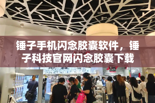 锤子手机闪念胶囊软件，锤子科技官网闪念胶囊下载-第1张图片-星选测评