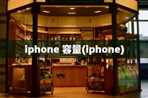 iphone 容量(iphone)