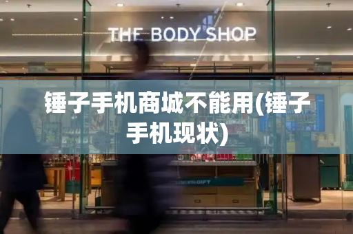 锤子手机商城不能用(锤子手机现状)-第1张图片-星选测评