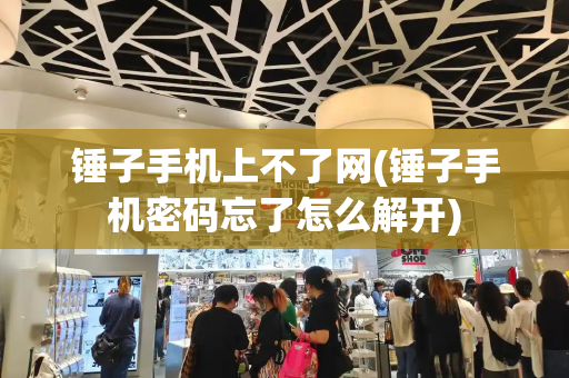 锤子手机上不了网(锤子手机密码忘了怎么解开)