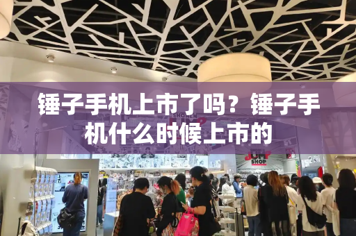 锤子手机上市了吗？锤子手机什么时候上市的-第1张图片-星选测评
