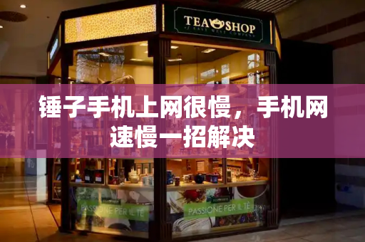 锤子手机上网很慢，手机网速慢一招解决-第1张图片-星选测评