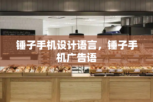 锤子手机设计语言，锤子手机广告语-第1张图片-星选测评