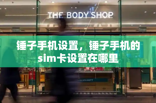 锤子手机设置，锤子手机的sim卡设置在哪里-第1张图片-星选测评