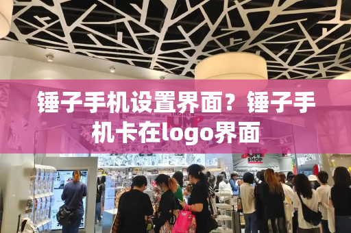 锤子手机设置界面？锤子手机卡在logo界面