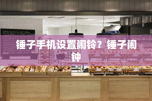 锤子手机设置闹铃？锤子闹钟-第1张图片-星选测评