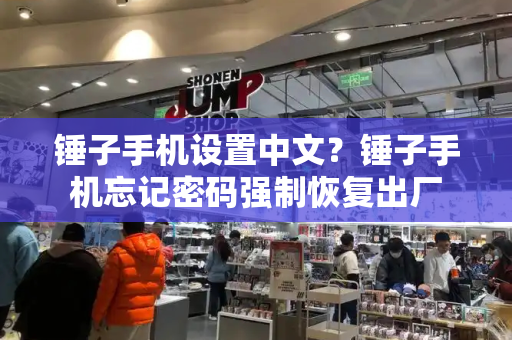 锤子手机设置中文？锤子手机忘记密码强制恢复出厂-第1张图片-星选测评