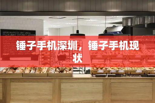 锤子手机深圳，锤子手机现状-第1张图片-星选测评