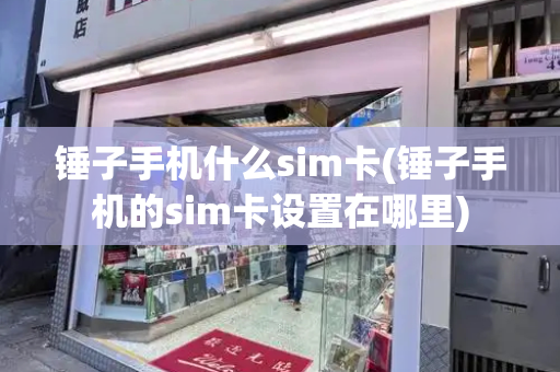 锤子手机什么sim卡(锤子手机的sim卡设置在哪里)-第1张图片-星选测评