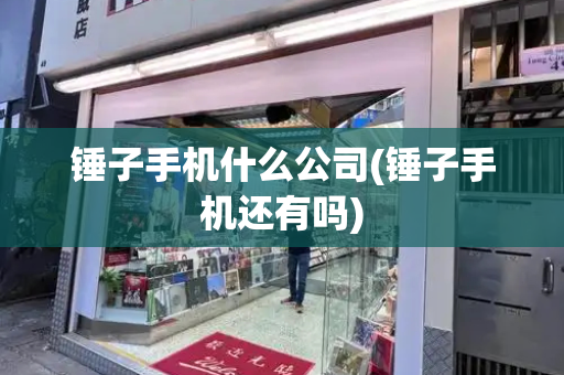锤子手机什么公司(锤子手机还有吗)