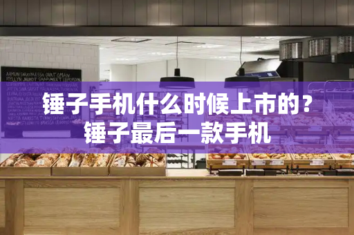 锤子手机什么时候上市的？锤子最后一款手机