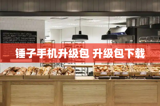 锤子手机升级包 升级包下载-第1张图片-星选测评