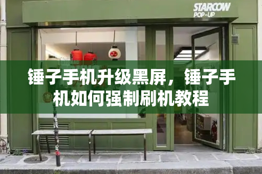 锤子手机升级黑屏，锤子手机如何强制刷机教程-第1张图片-星选测评