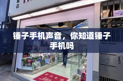 锤子手机声音，你知道锤子手机吗