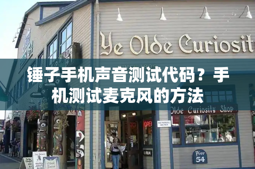 锤子手机声音测试代码？手机测试麦克风的方法-第1张图片-星选测评