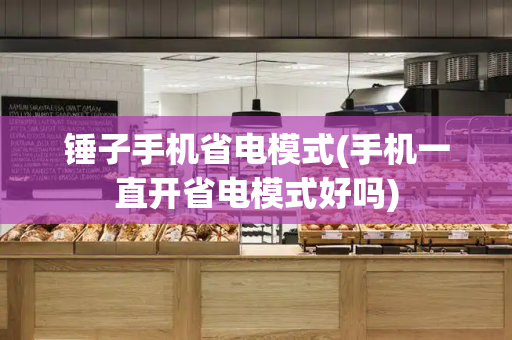 锤子手机省电模式(手机一直开省电模式好吗)-第1张图片-星选测评