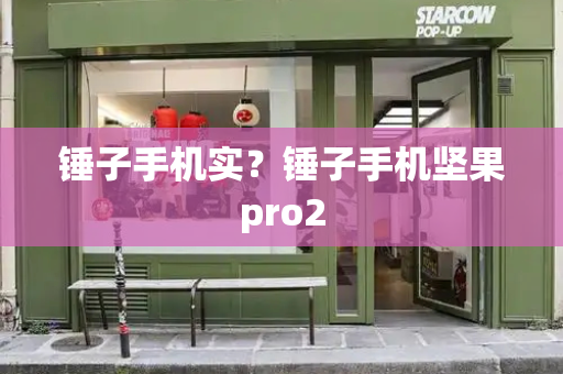 锤子手机实？锤子手机坚果pro2