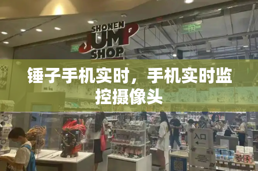 锤子手机实时，手机实时监控摄像头