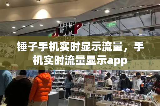 锤子手机实时显示流量，手机实时流量显示app