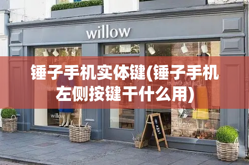 锤子手机实体键(锤子手机左侧按键干什么用)-第1张图片-星选测评