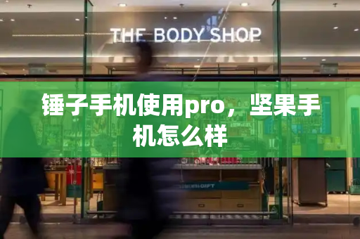 锤子手机使用pro，坚果手机怎么样-第1张图片-星选测评