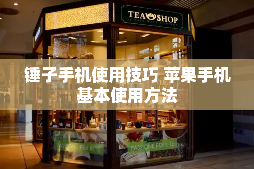 锤子手机使用技巧 苹果手机基本使用方法-第1张图片-星选测评
