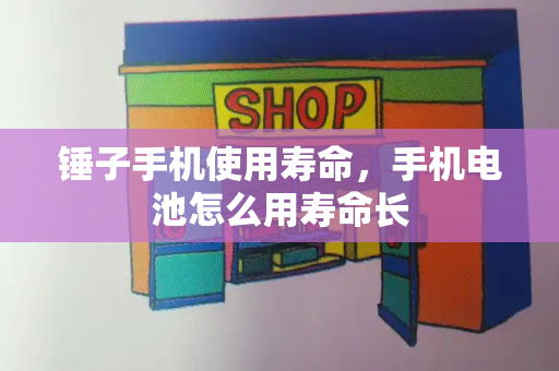 锤子手机使用寿命，手机电池怎么用寿命长