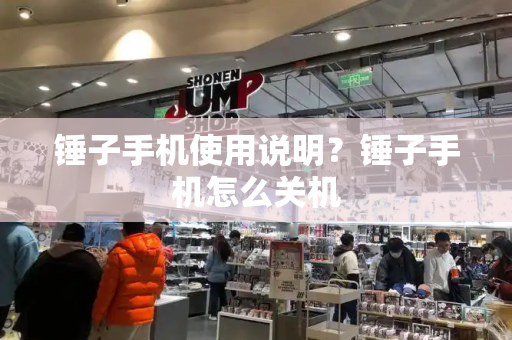 锤子手机使用说明？锤子手机怎么关机-第1张图片-星选测评