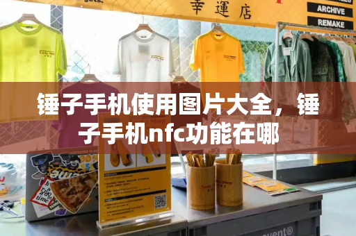 锤子手机使用图片大全，锤子手机nfc功能在哪-第1张图片-星选测评