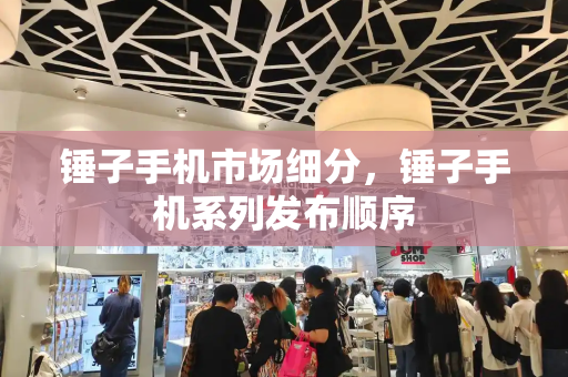 锤子手机市场细分，锤子手机系列发布顺序