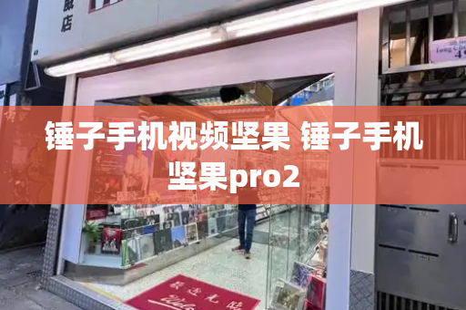 锤子手机视频坚果 锤子手机坚果pro2