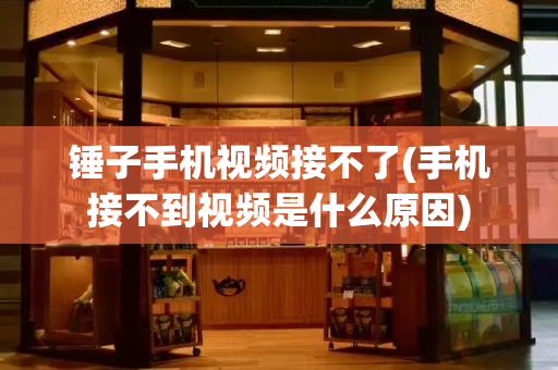 锤子手机视频接不了(手机接不到视频是什么原因)-第1张图片-星选测评