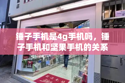 锤子手机是4g手机吗，锤子手机和坚果手机的关系-第1张图片-星选测评