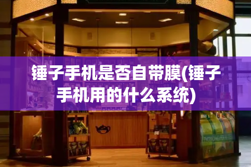 锤子手机是否自带膜(锤子手机用的什么系统)-第1张图片-星选测评
