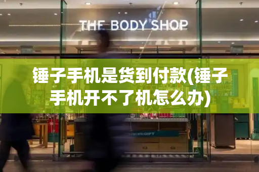 锤子手机是货到付款(锤子手机开不了机怎么办)