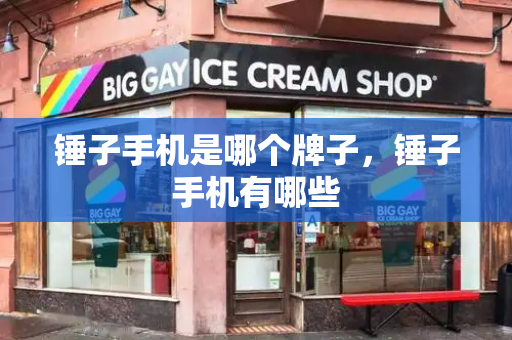 锤子手机是哪个牌子，锤子手机有哪些-第1张图片-星选测评