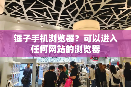 锤子手机浏览器？可以进入任何网站的浏览器