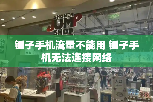 锤子手机流量不能用 锤子手机无法连接网络