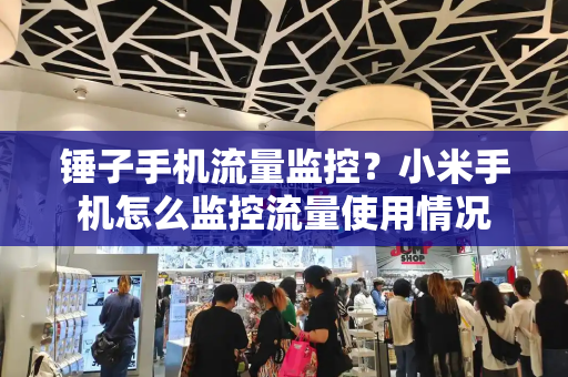 锤子手机流量监控？小米手机怎么监控流量使用情况