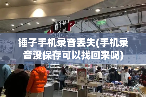 锤子手机录音丢失(手机录音没保存可以找回来吗)-第1张图片-星选测评